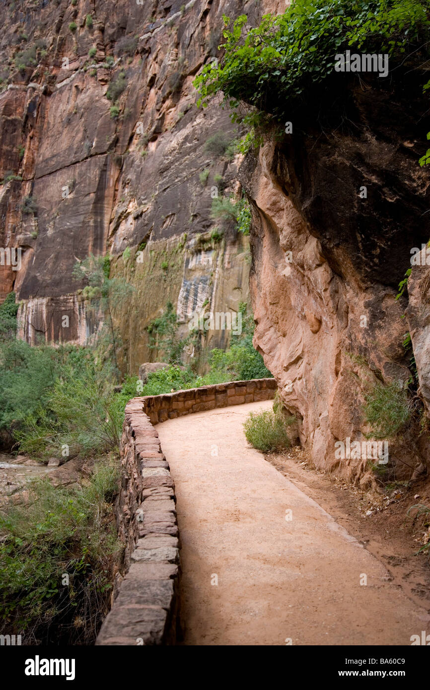 Il sentiero lungo la parete di roccia Canyon Zion National Park UT USA Foto Stock