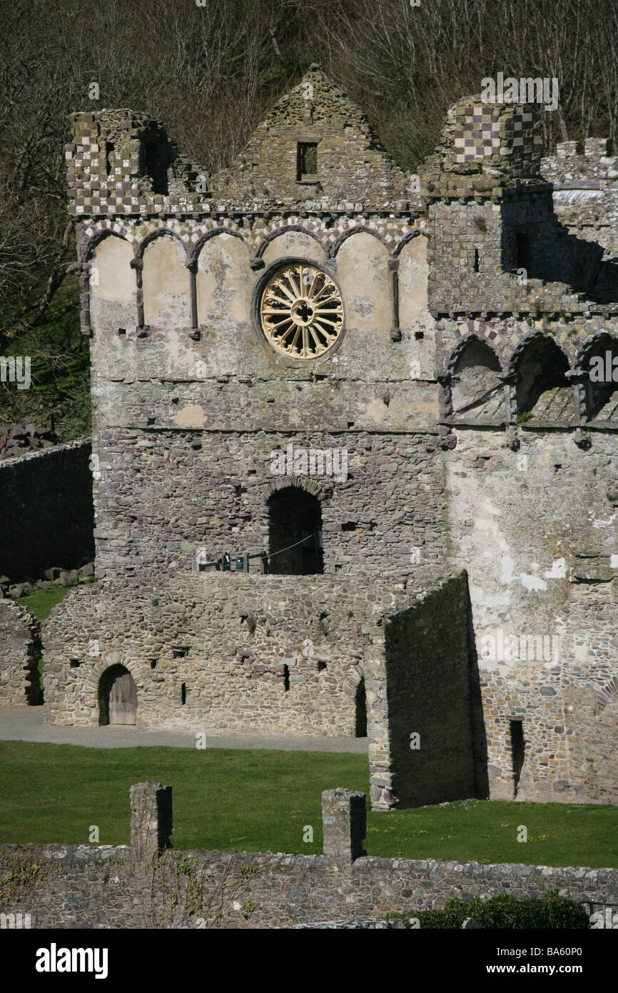 Città di St David's, il Galles. Vista di sud gamma Great Hall e rosone degli inizi del XIV secolo il palazzo vescovile. Foto Stock