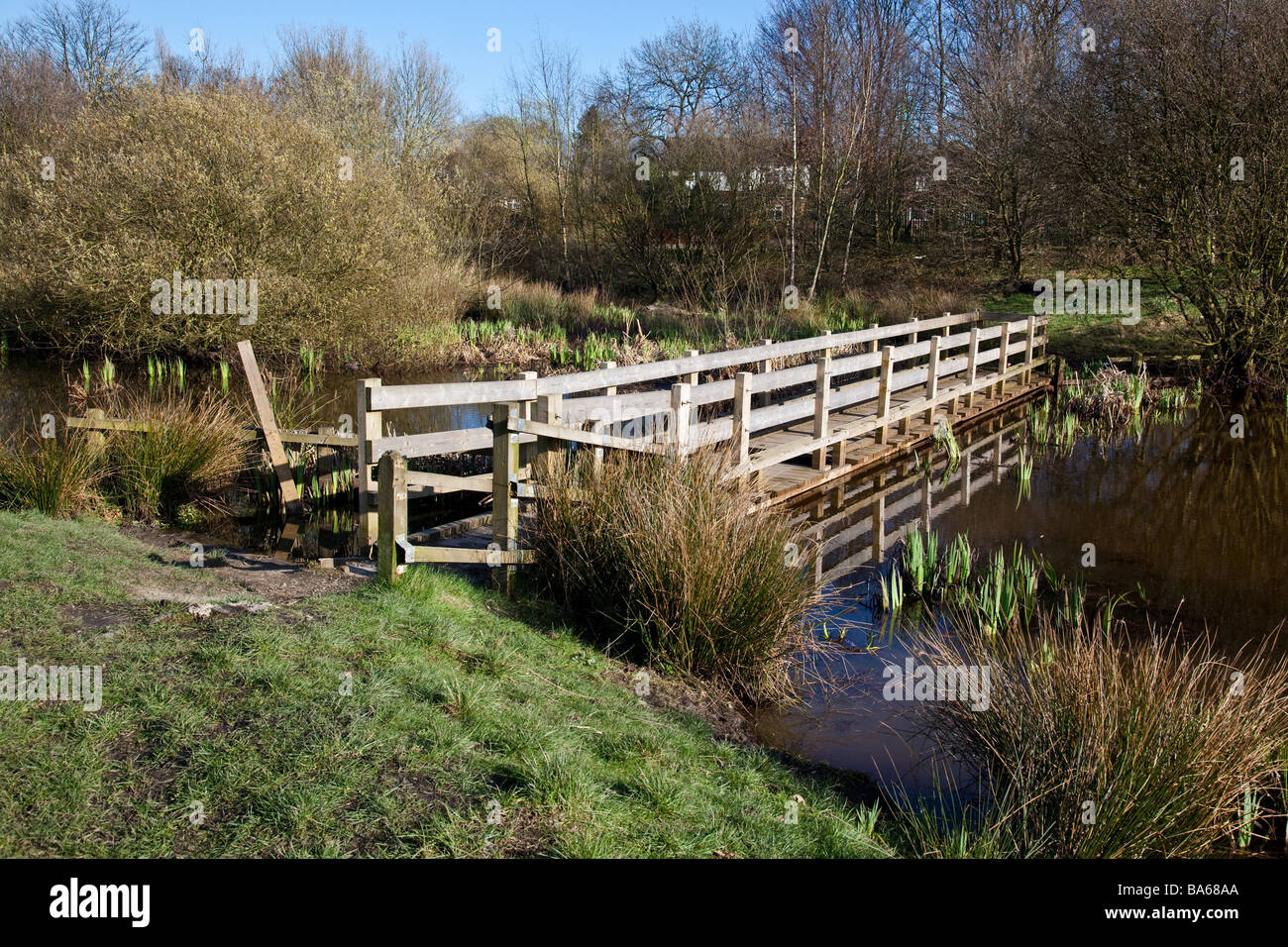 Le tre sorelle stagni e campo in Eccles Manchester Regno Unito un sito di particolare interesse biologico Foto Stock