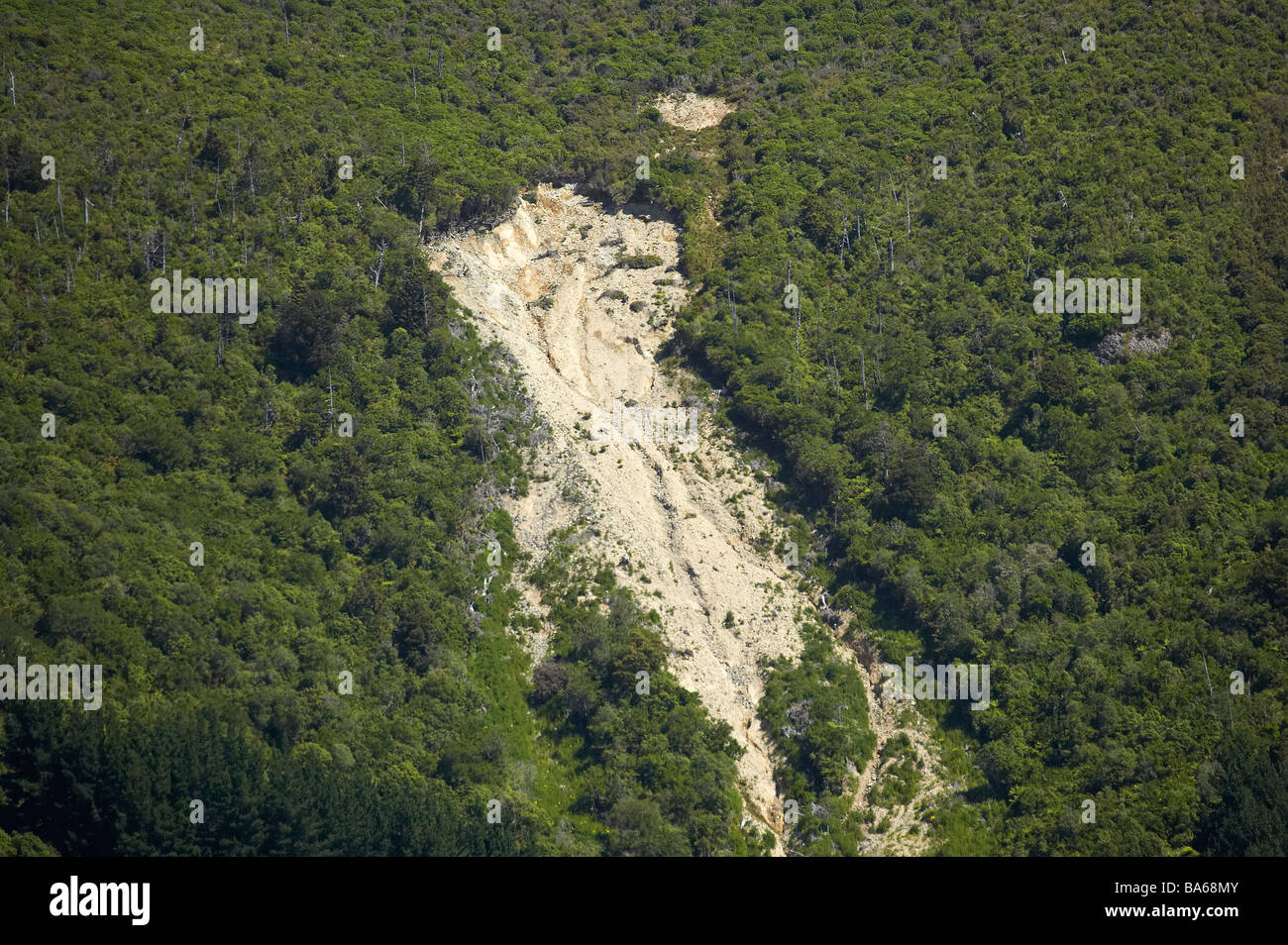 Frana Mt Cargill Dunedin Otago Isola del Sud della Nuova Zelanda Foto Stock