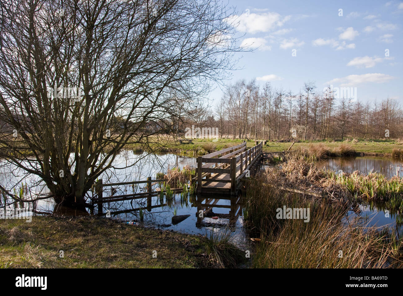 Le tre sorelle stagni e campo in Eccles Manchester Regno Unito un sito di particolare interesse biologico Foto Stock