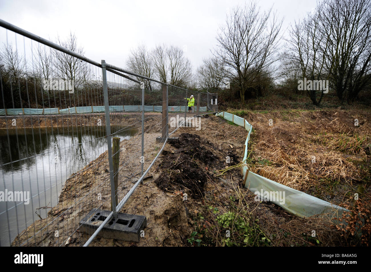 Geometri visualizzare una sezione della parte restaurata STROUDWATER CANAL di navigazione con il sito di costruzione di recinzioni di sicurezza e NEWT BARRI Foto Stock