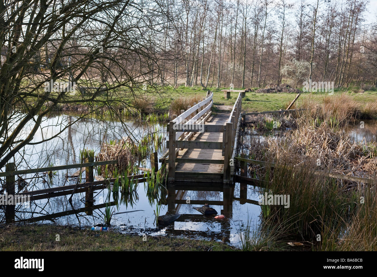 Le tre sorelle stagni e campo in Eccles Manchester Regno Unito un sito di particolare interesse biologico Foto Stock