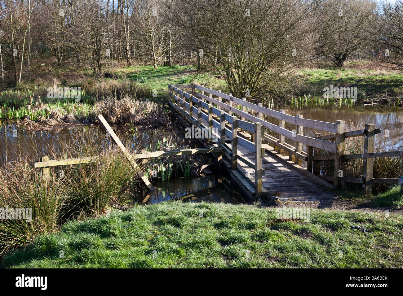 Le tre sorelle stagni e campo in Eccles Manchester Regno Unito un sito di particolare interesse biologico Foto Stock