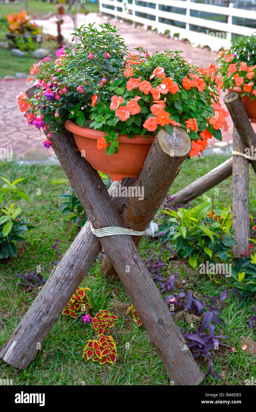 Vasi di fiori immissione sul rack in legno in giardino Foto Stock