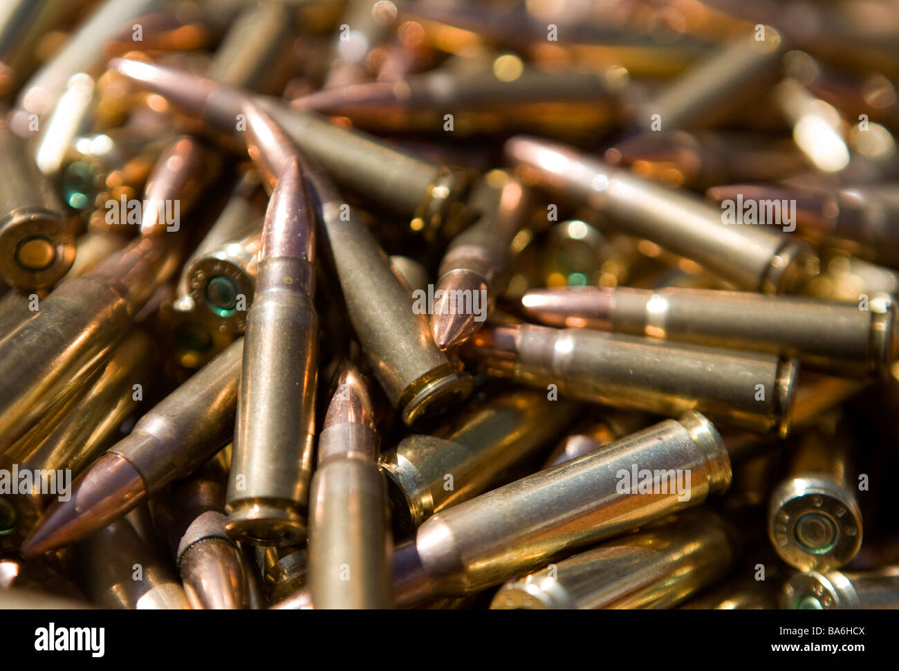 12 aprile 2009 Frederick Maryland di piccolo calibro munizioni fucile una penuria di munizioni ha colpito gli Stati Uniti Foto Stock