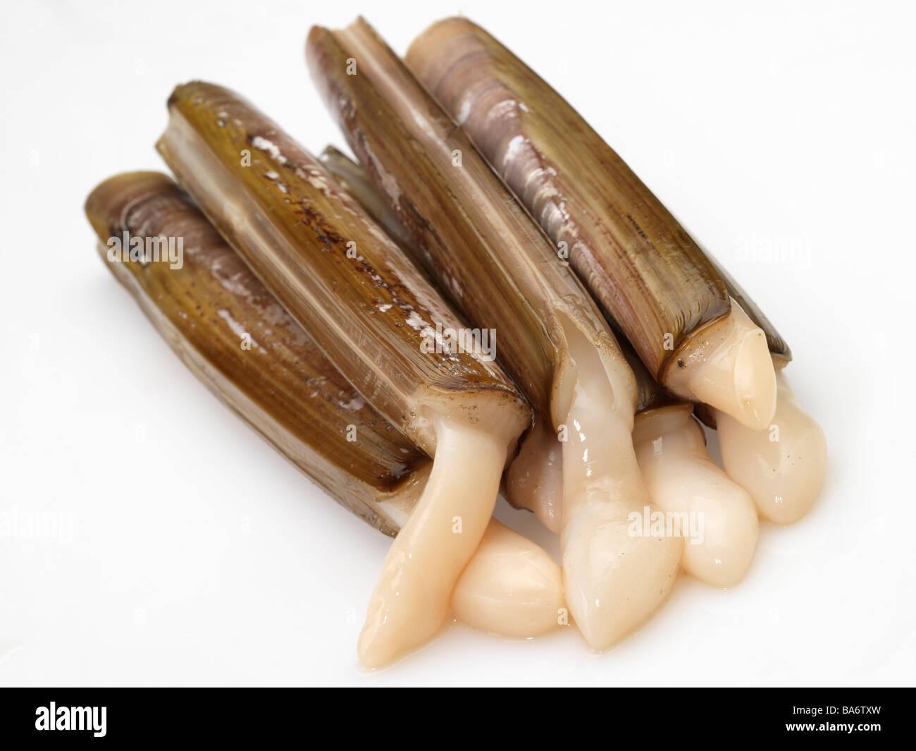 Cannolicchi Foto Stock