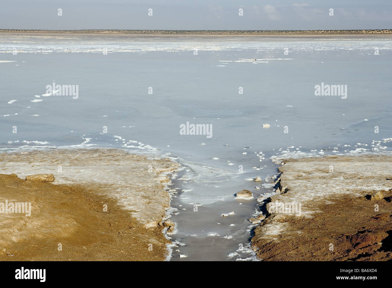 Tunisia sale-mare Sebkha El Melah afflusso dettaglio South-Tunisia deserto-area paesaggio del deserto a sud di Zaris acque calore di soluzione salina Foto Stock