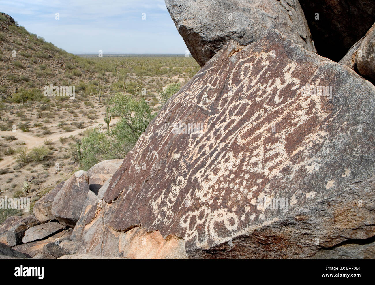 Un antico Hohokum petroglifi indiani in Arizona questa arte si trova a picco Picacho Arizona Foto Stock