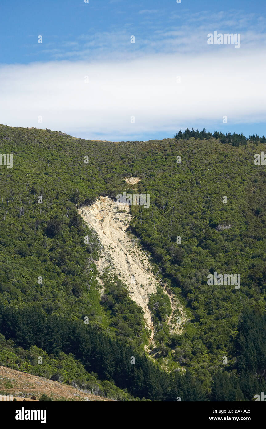 Frana Mt Cargill Dunedin Otago Isola del Sud della Nuova Zelanda Foto Stock