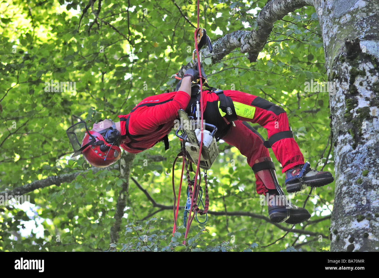 Logger di feriti Foto Stock