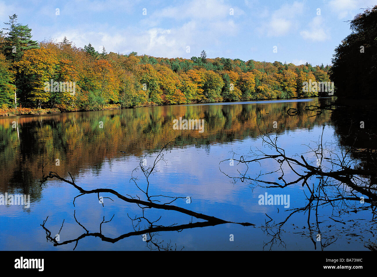Francia, Ille et Vilaine, il Mare aux tasse (LA FATA Pond) della Val sans Retour (Valle di non ritorno) in Broceliande Foto Stock