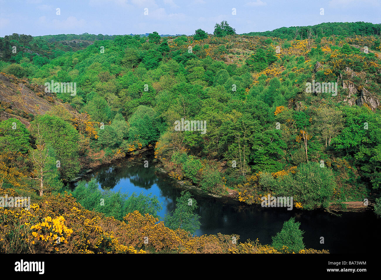 Francia, Ille et Vilaine, il Mare aux tasse (LA FATA Pond) della Val sans Retour (Valle di non ritorno) in Broceliande Foto Stock