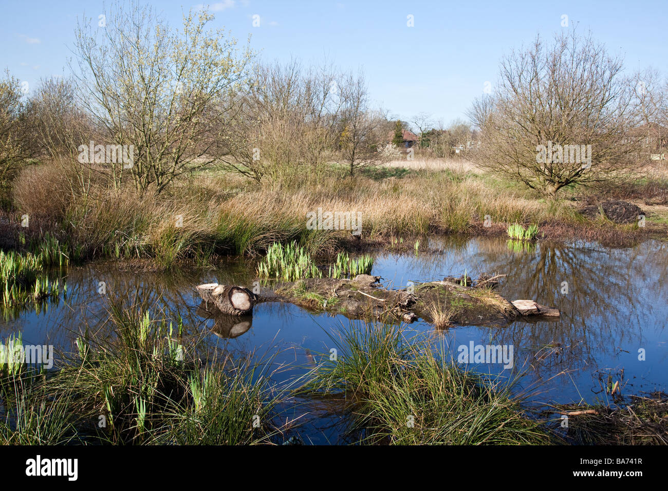 Le tre sorelle stagni e campo in Eccles Manchester Regno Unito un sito di particolare interesse biologico Foto Stock