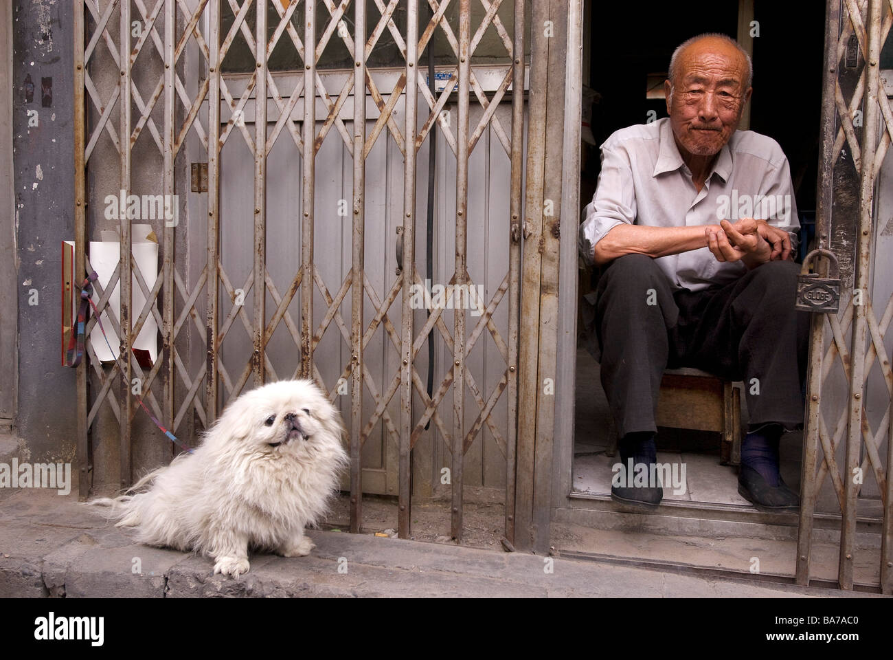 Cina, Pechino, un uomo vecchio e il suo cane pekinese in uno degli ultimi hutong Foto Stock