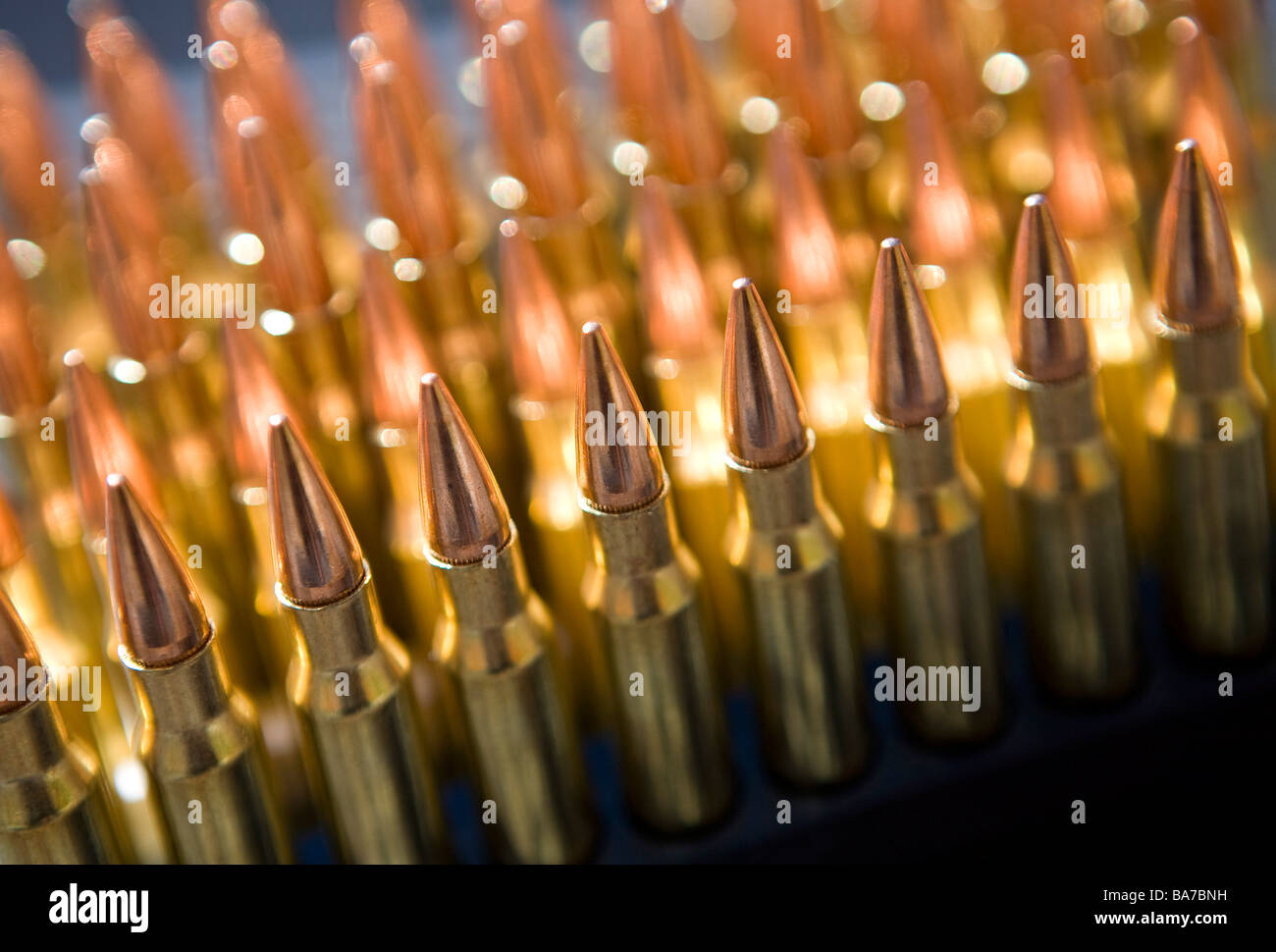 12 aprile 2009 Frederick Maryland di piccolo calibro munizioni fucile una penuria di munizioni ha colpito gli Stati Uniti Foto Stock