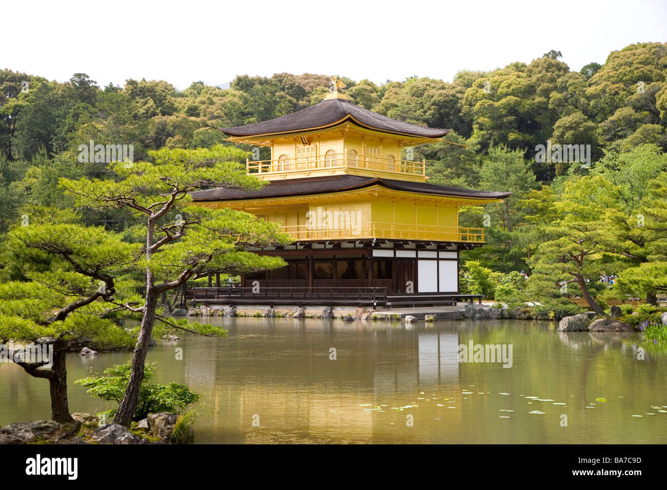 Giappone Kyoto Tempio Kinkakuji nel giardino sul lago Foto Stock