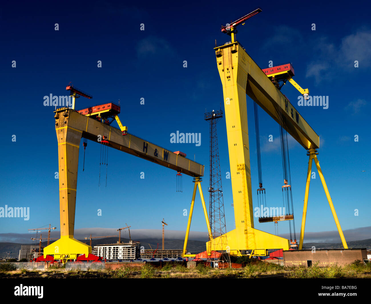 Harland Wolff Shipyard Belfast Irlanda del Nord Foto Stock