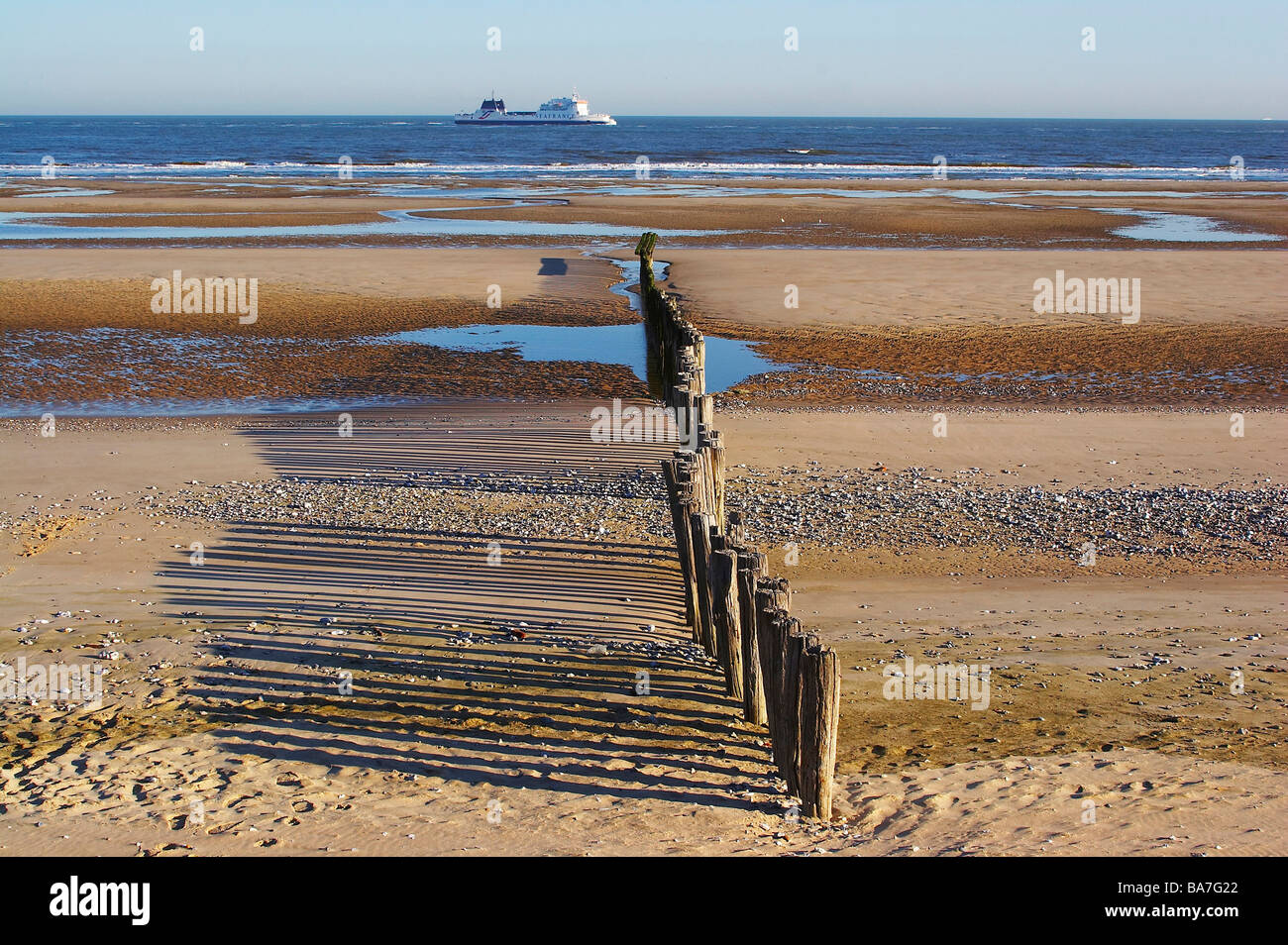 Traghetto Seafrance sul canale nei pressi di Calais, dept Pas-de-Calais, Picardie-Nord, Francia, Europa Foto Stock