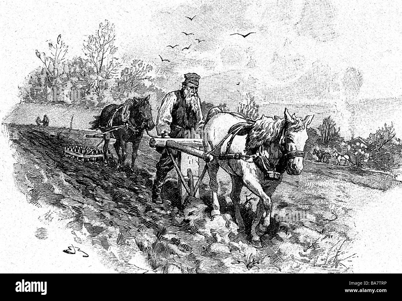 Count lev nikolayevich tolstoy immagini e fotografie stock ad alta