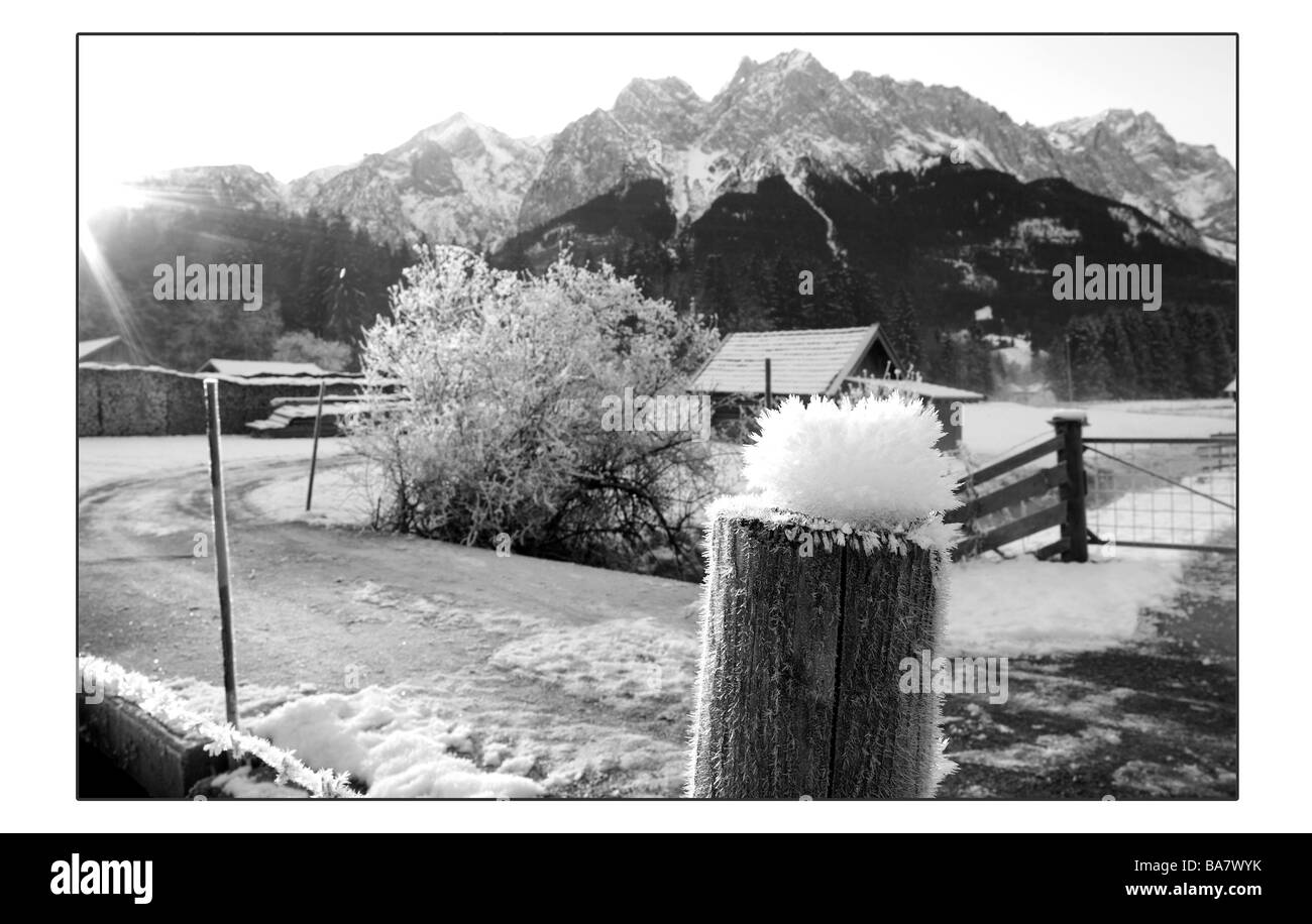 Germania Baviera highland-modo albero di legno-post brina inverni s/w cameriere-Bavaria Alpi Alpi-foreland Grainau paesaggio Foto Stock