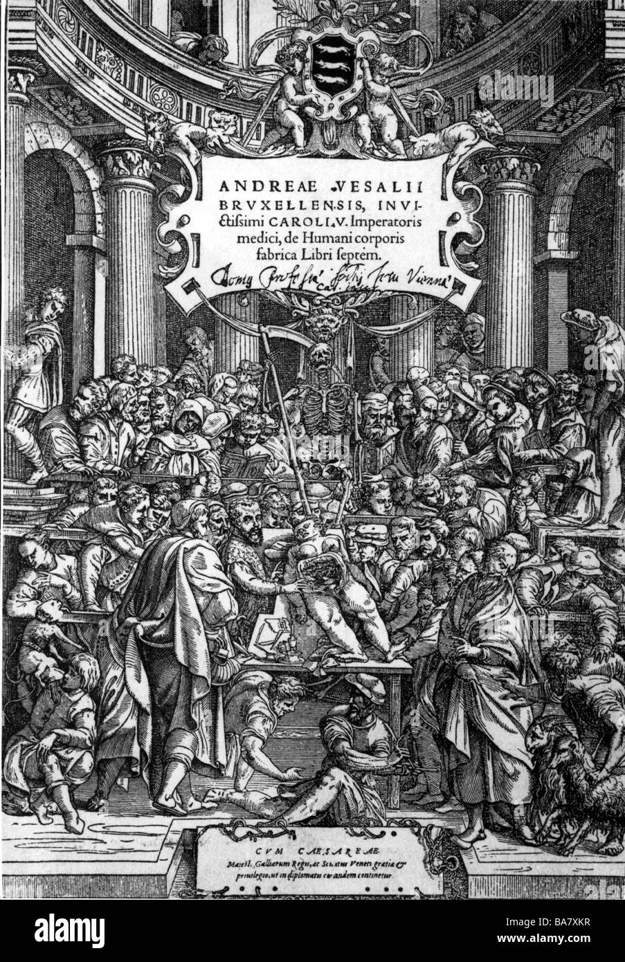 Vesalius, Andreas, 31.12.1514 - 15.10.1564, medico olandese, opere, pagina del titolo da 'Sul tessuto del corpo umano in sette libri', woodcut, Bruxelles, 1543, Foto Stock
