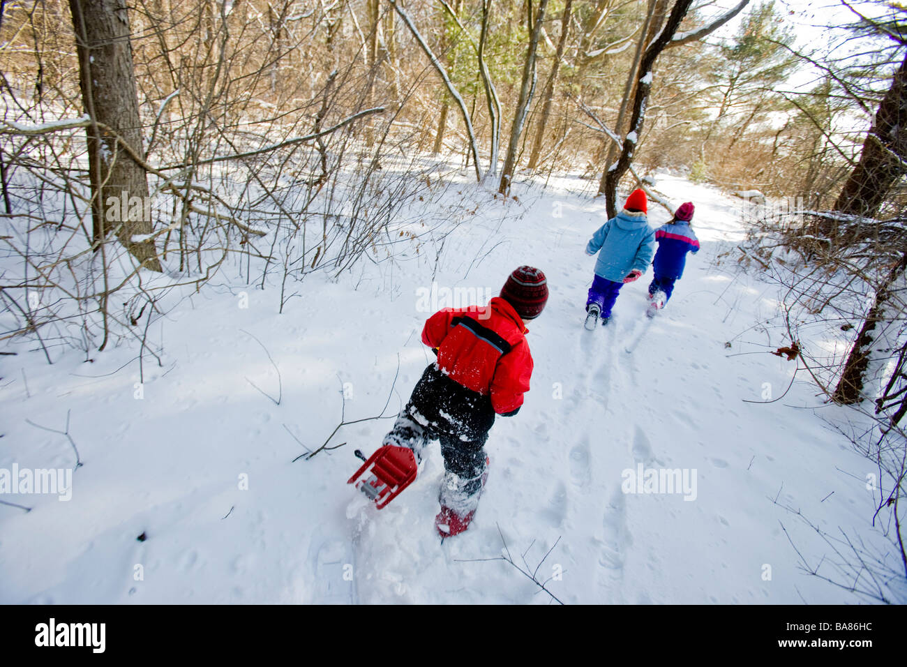 Tre bambini su un geocache caccia al Odiorne Point State Park in segale, New Hampshire. Foto Stock