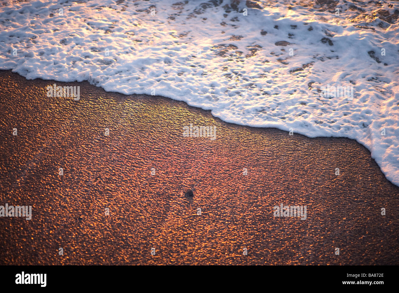 Sciabordare di onde sulla riva del mare serata estiva Foto Stock