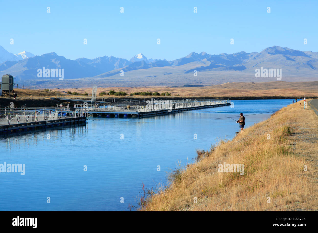 Il salmone di allevamento in acqua dolce canal per la generazione di energia, Canterbury,Isola del Sud,Nuova Zelanda Foto Stock