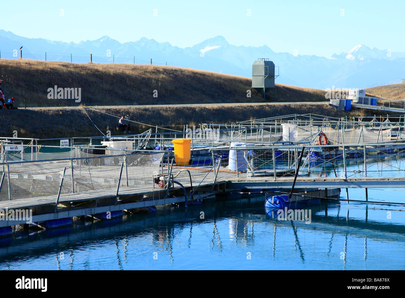 Il salmone di allevamento in acqua dolce canal per la generazione di energia, Canterbury,Isola del Sud,Nuova Zelanda Foto Stock