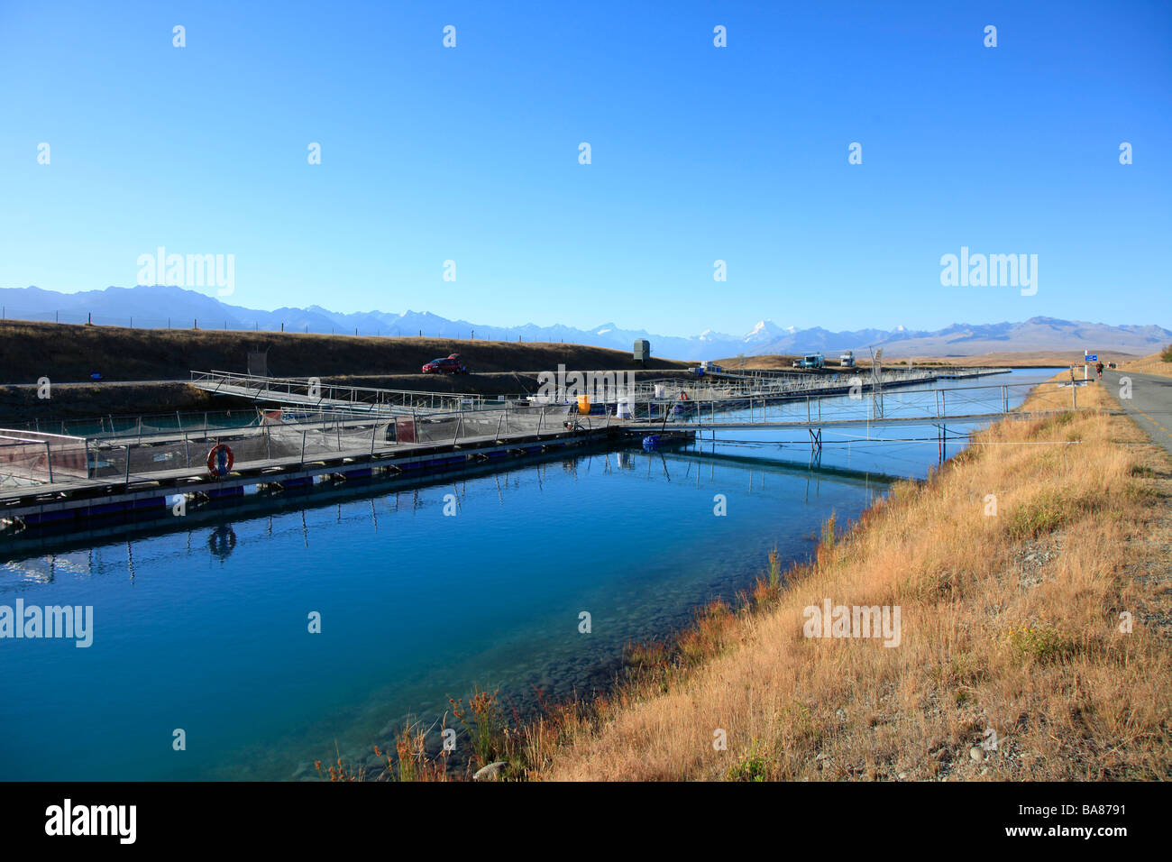 Il salmone di allevamento in acqua dolce canal per la generazione di energia, Canterbury,Isola del Sud,Nuova Zelanda Foto Stock