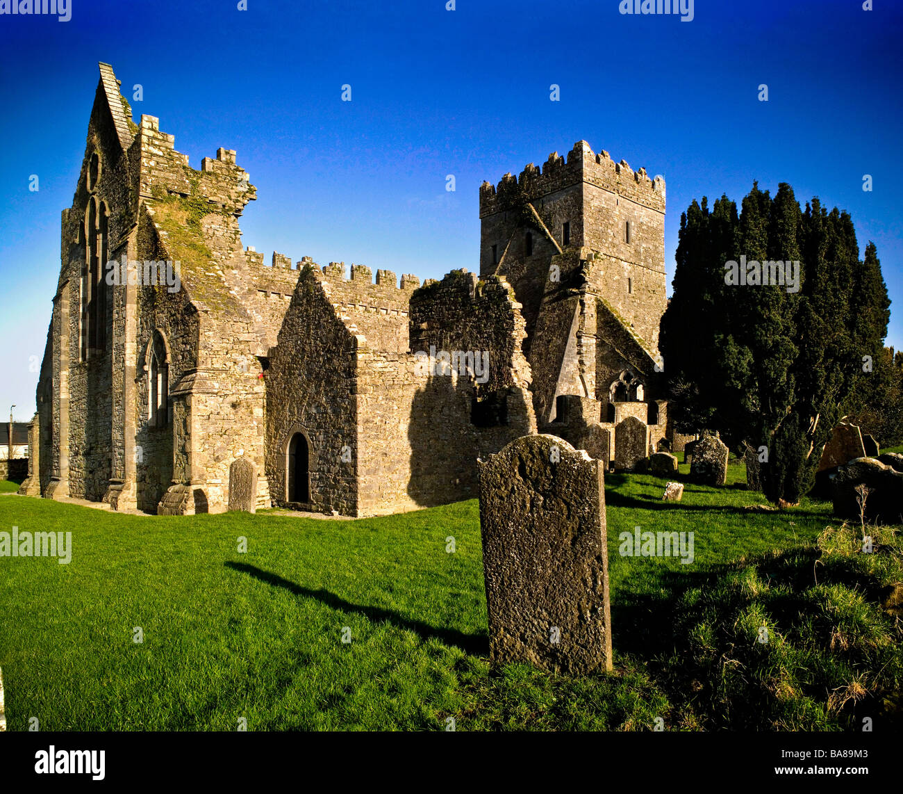 St Mary s Chiesa Gowran Kilkenny Foto Stock