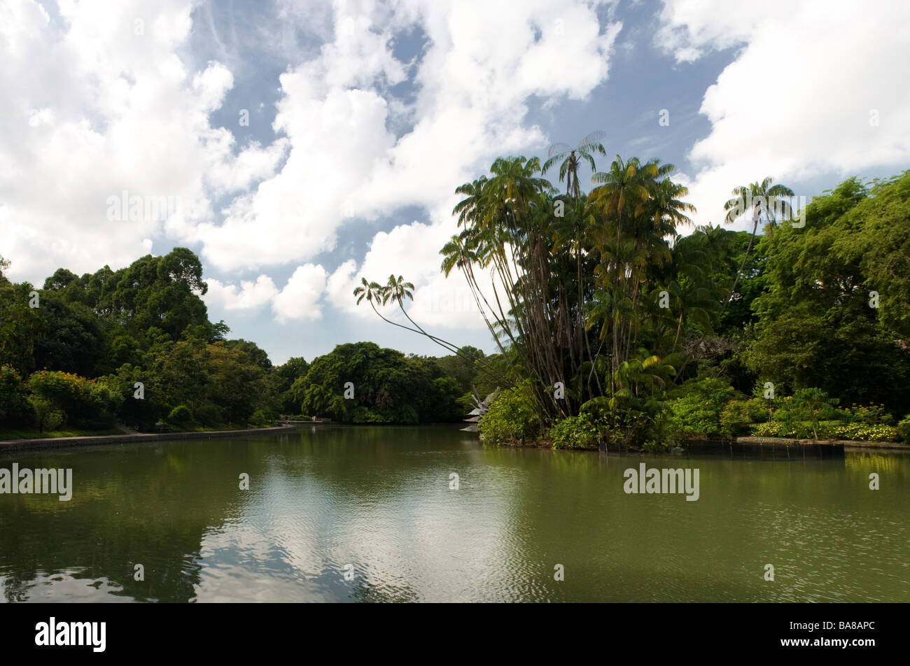 Il lago dei cigni al Singapore Botanic Gardens. Foto Stock