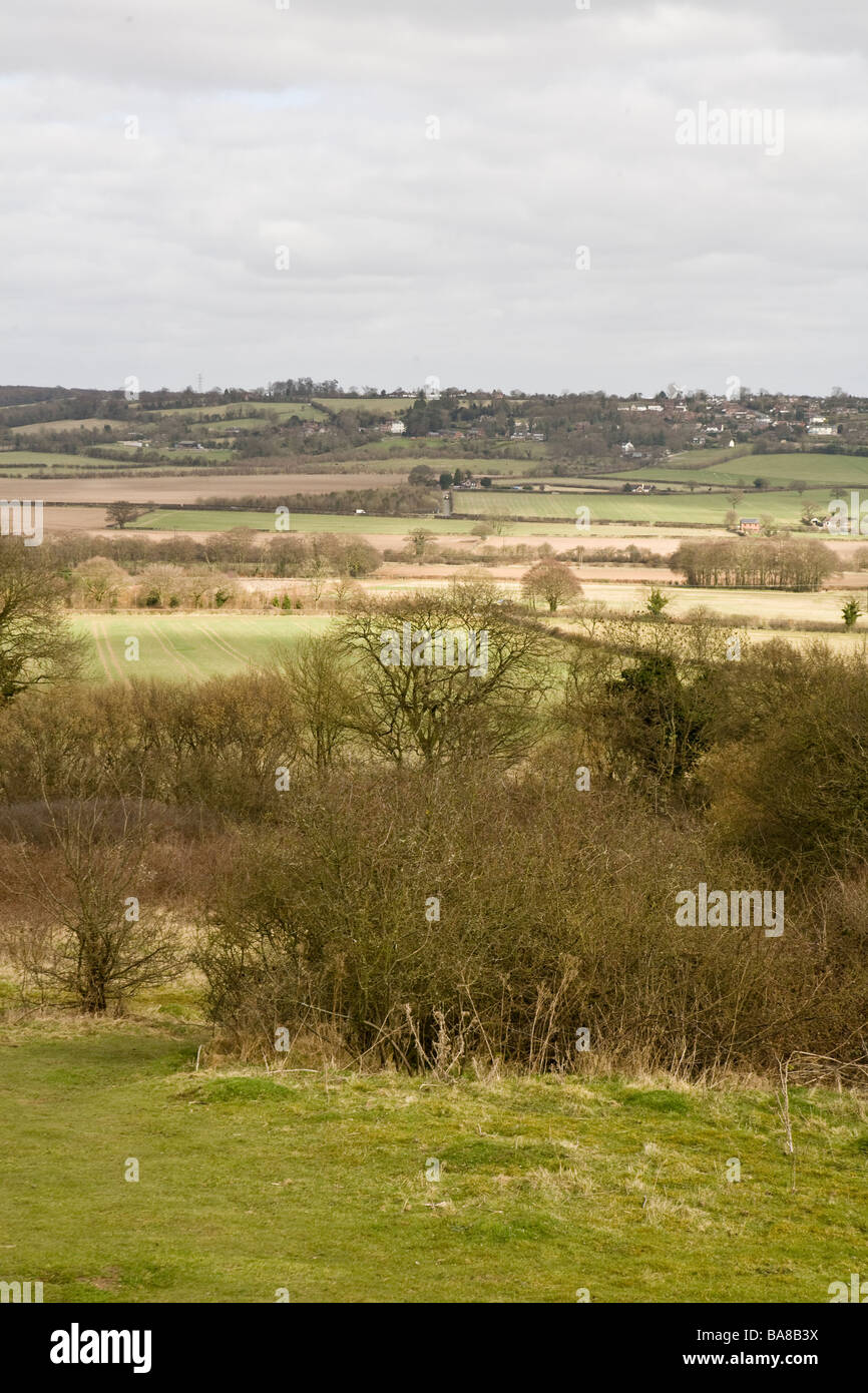 Vista verticale della campagna inglese nel Buckinghamshire Foto Stock