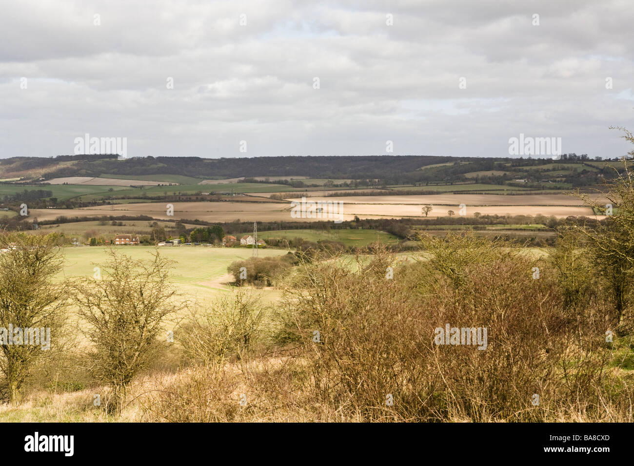 Vista verso la Croce Whiteleaf e Aylesbury Vale Foto Stock