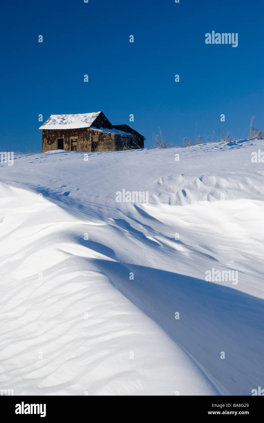 Alberta, Canada; azienda abbandonata edificio in cima a una collina nevoso Foto Stock