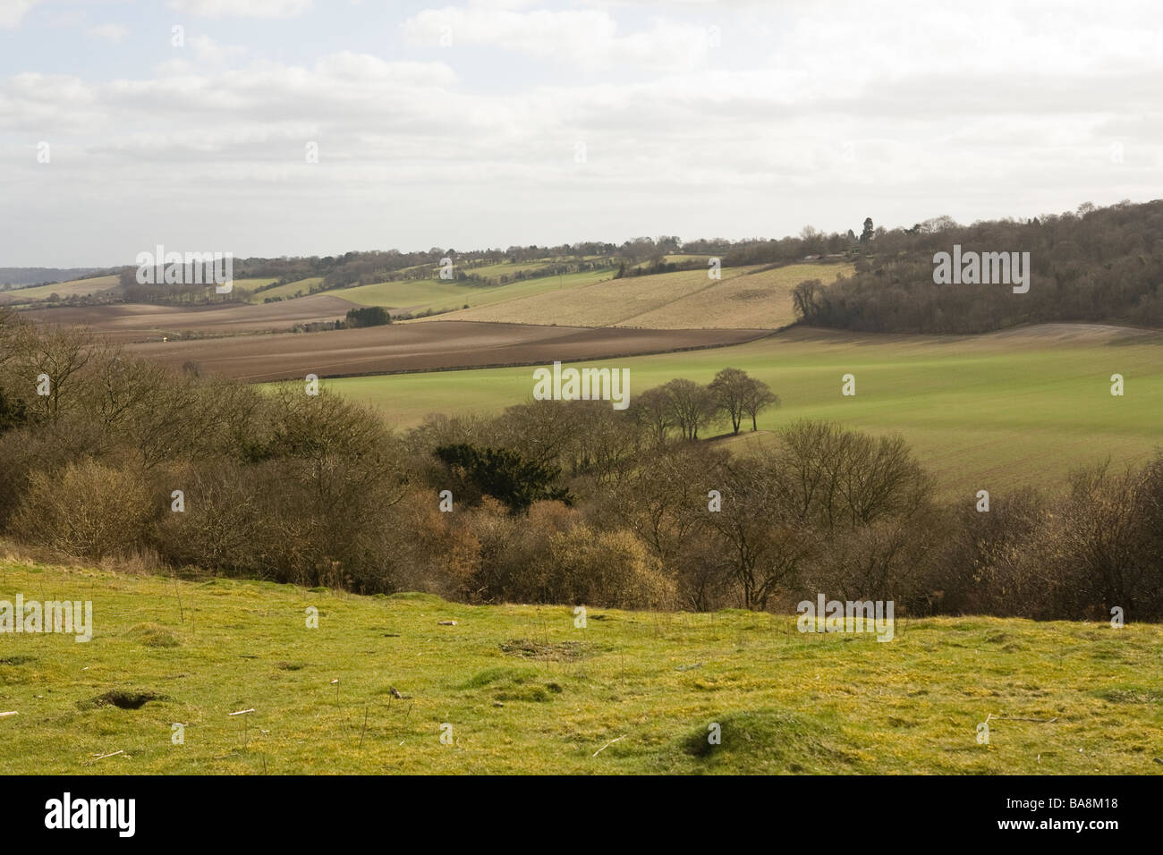 Vista sulla campagna Buckinghamshire Foto Stock