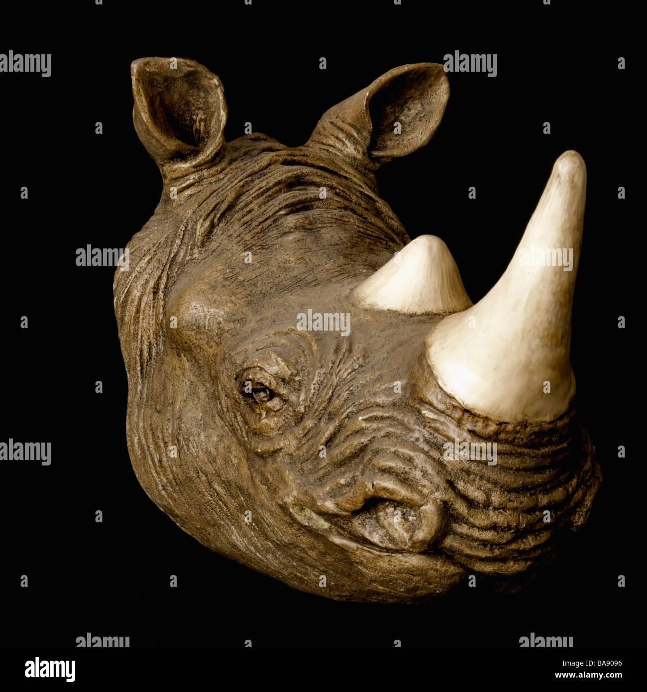 Testa di rinoceronte Foto Stock