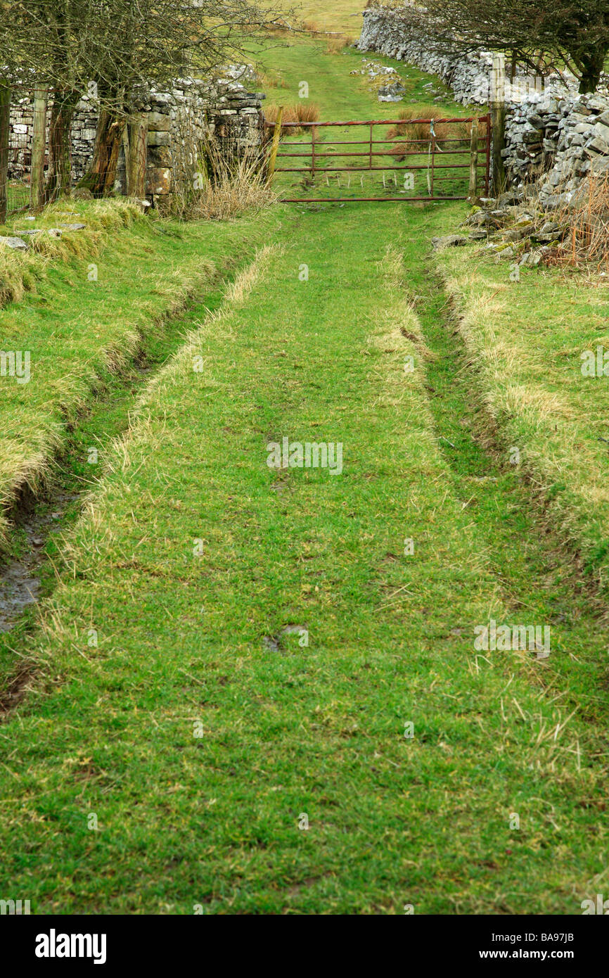 Azienda agricola Via, Ystradfellte, Brecon Beacons, Wales, Regno Unito Foto Stock