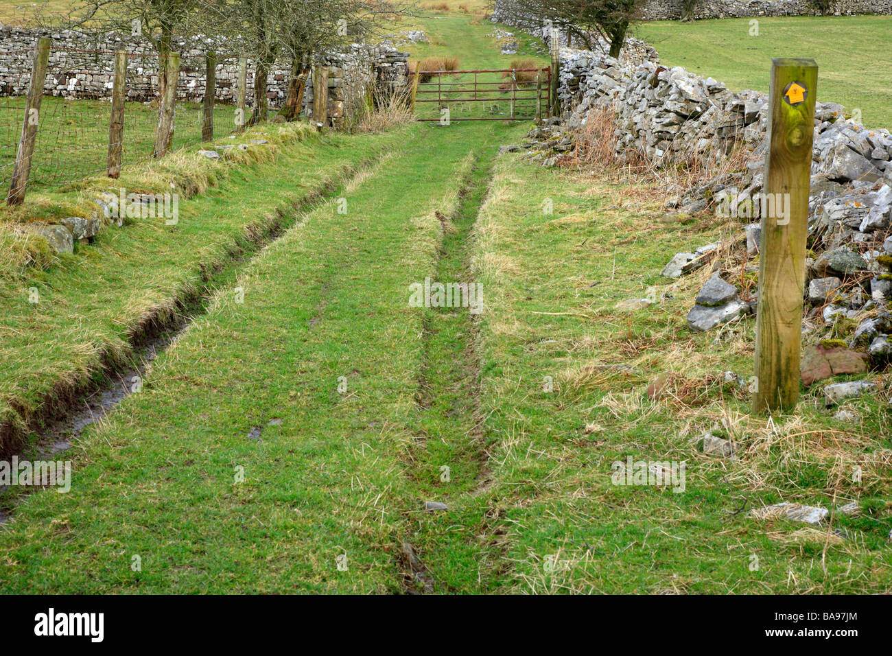 Azienda agricola Via, Ystradfellte, Brecon Beacons, Wales, Regno Unito Foto Stock