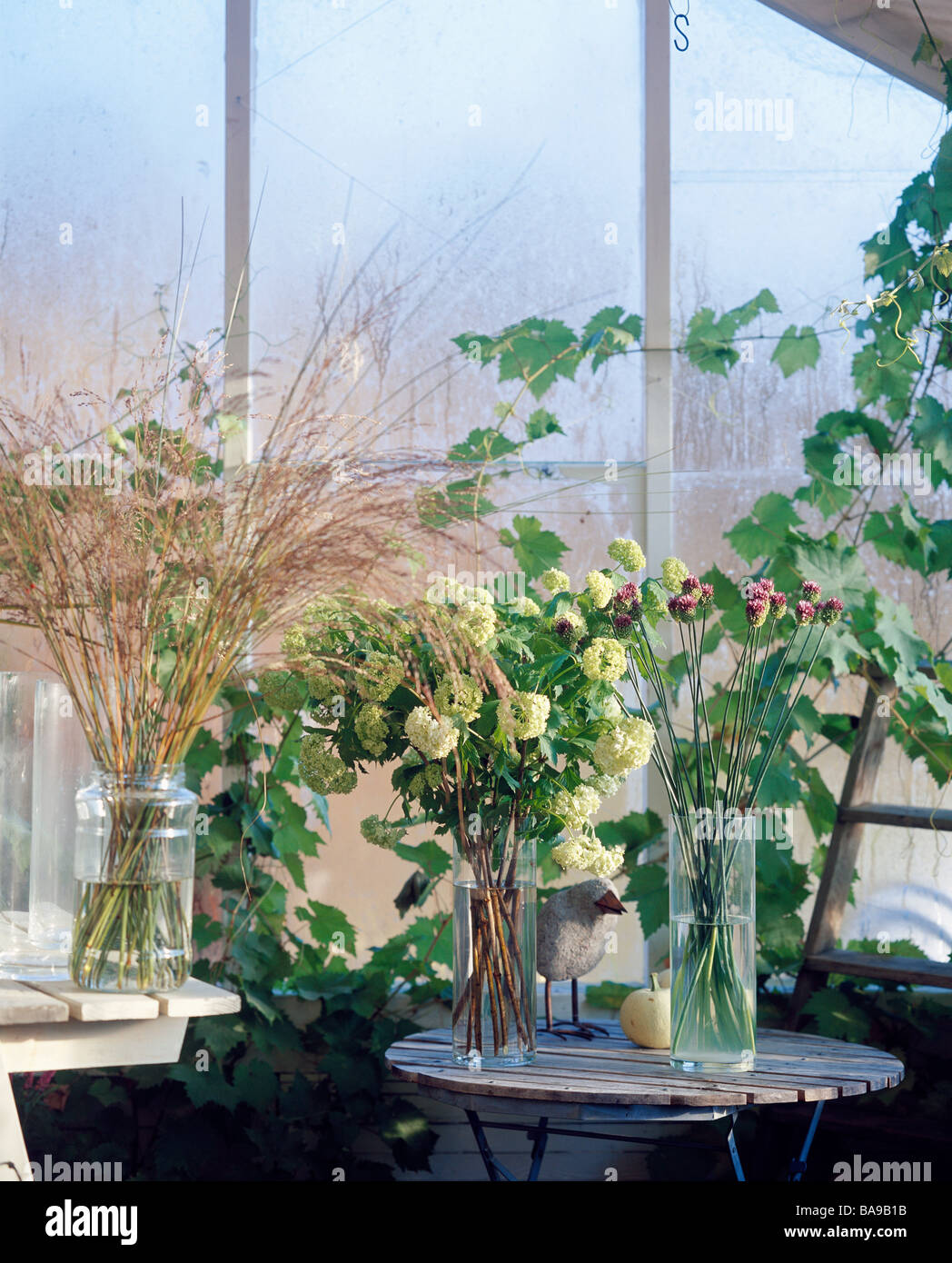 Fiori in un vaso, viburno-rose, allium ed erba. Foto Stock