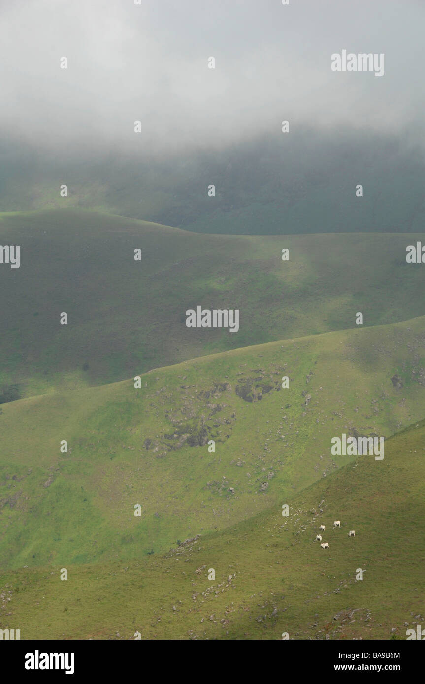 Montagne Sankwala Cross River State Nigeria Foto Stock