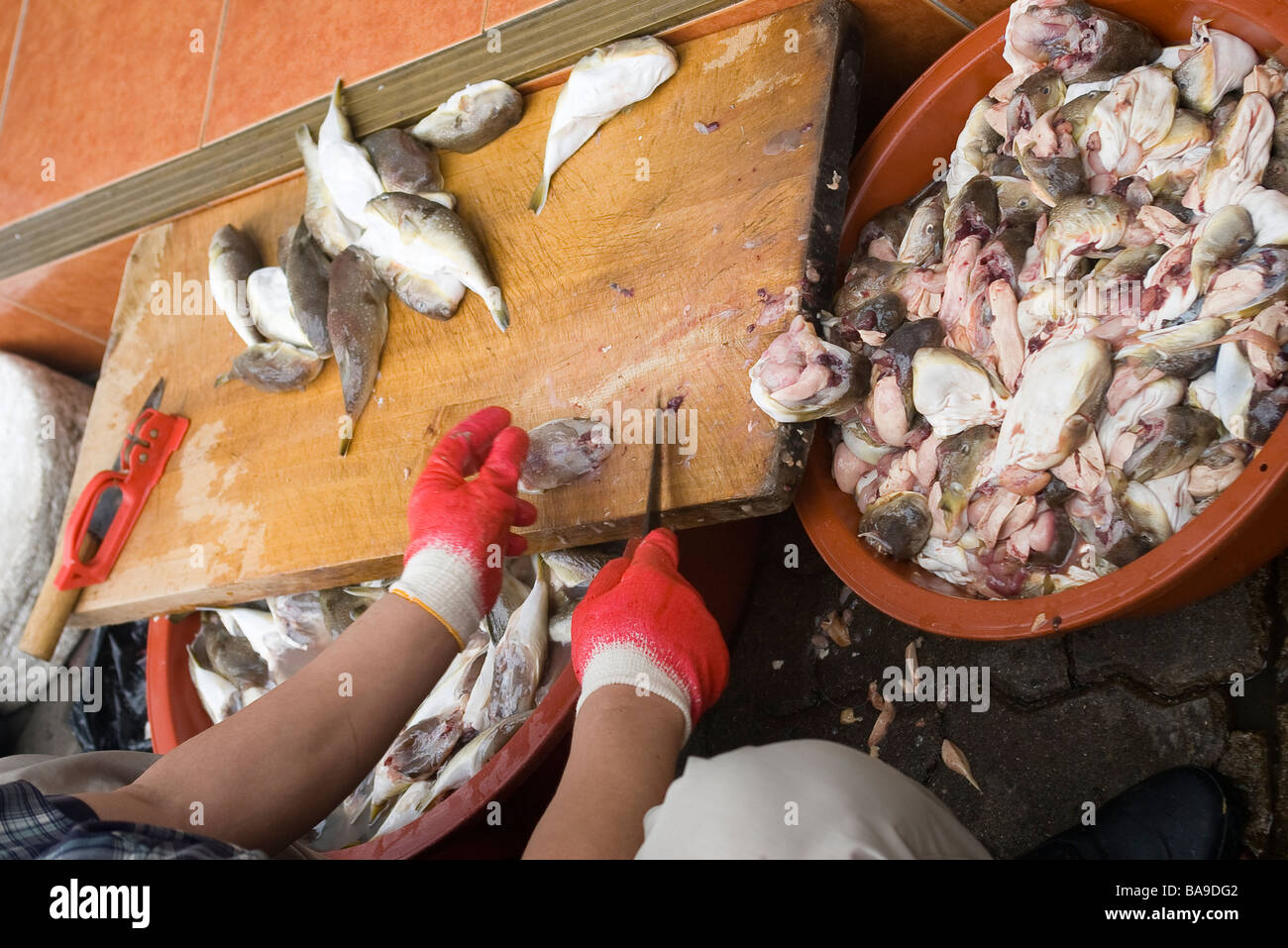 Mercato del pesce di Busan Corea del Sud Foto Stock