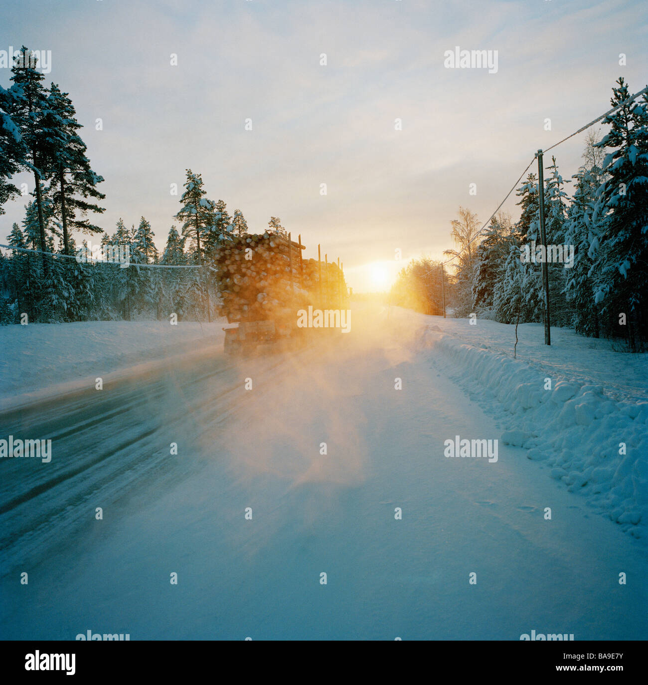 Zattera di registro su una strada di campagna, Lapponia, Svezia. Foto Stock