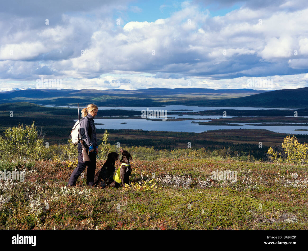 Un cacciatore e cani Lapponia Kiruna Svezia Foto Stock