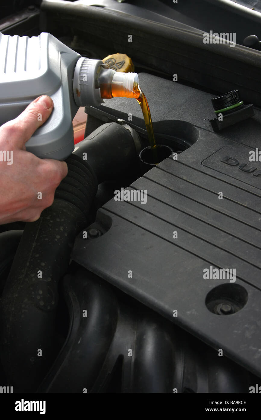 Mechanic versando olio motore nuovo nel corso di un servizio auto Foto Stock