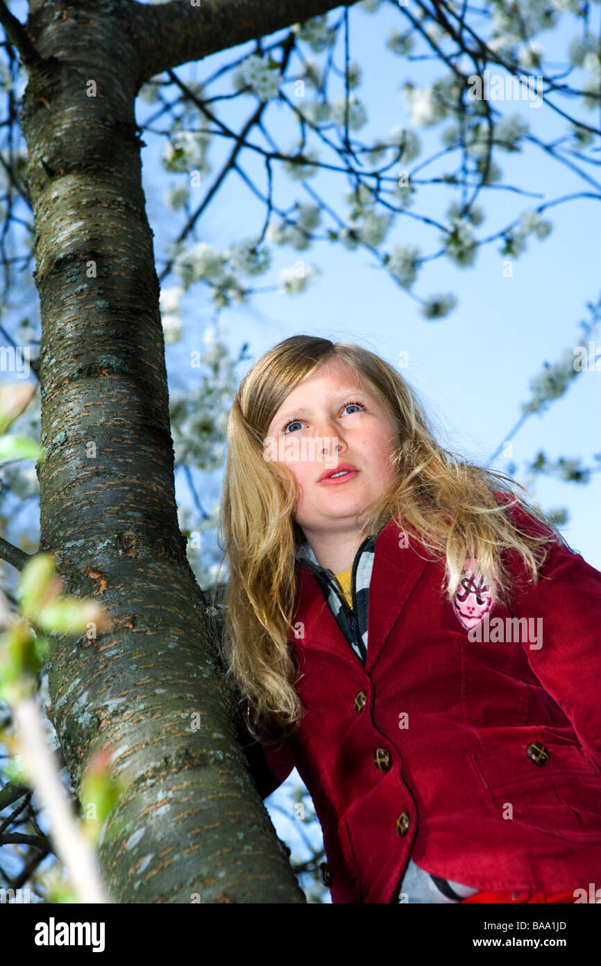 Una ragazza di arrampicarsi su un albero, Svezia. Foto Stock