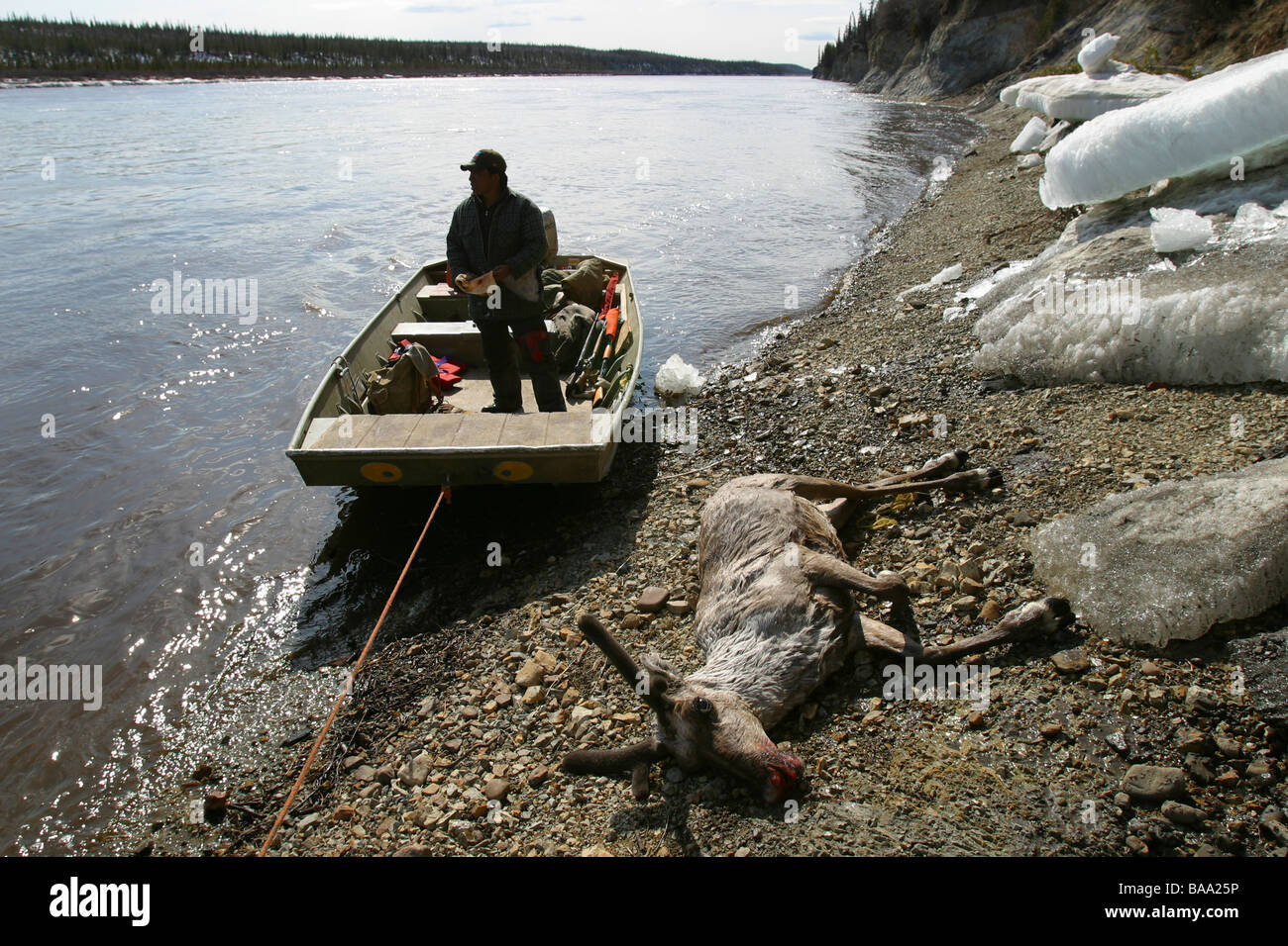 Una delle prime nazioni cacciatore con il suo Porcupine Caribou Coffee Company sulle rive del fiume Porcupine vicino al Old Crow, Yukon Territory, Canada. Foto Stock