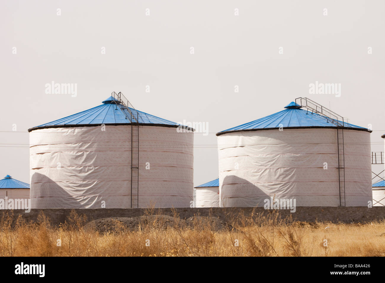 La siccità e la desertificazione nel nord della Cina ha portato su dal cambiamento climatico sta già portando ad una riduzione nella resa del raccolto. Foto Stock