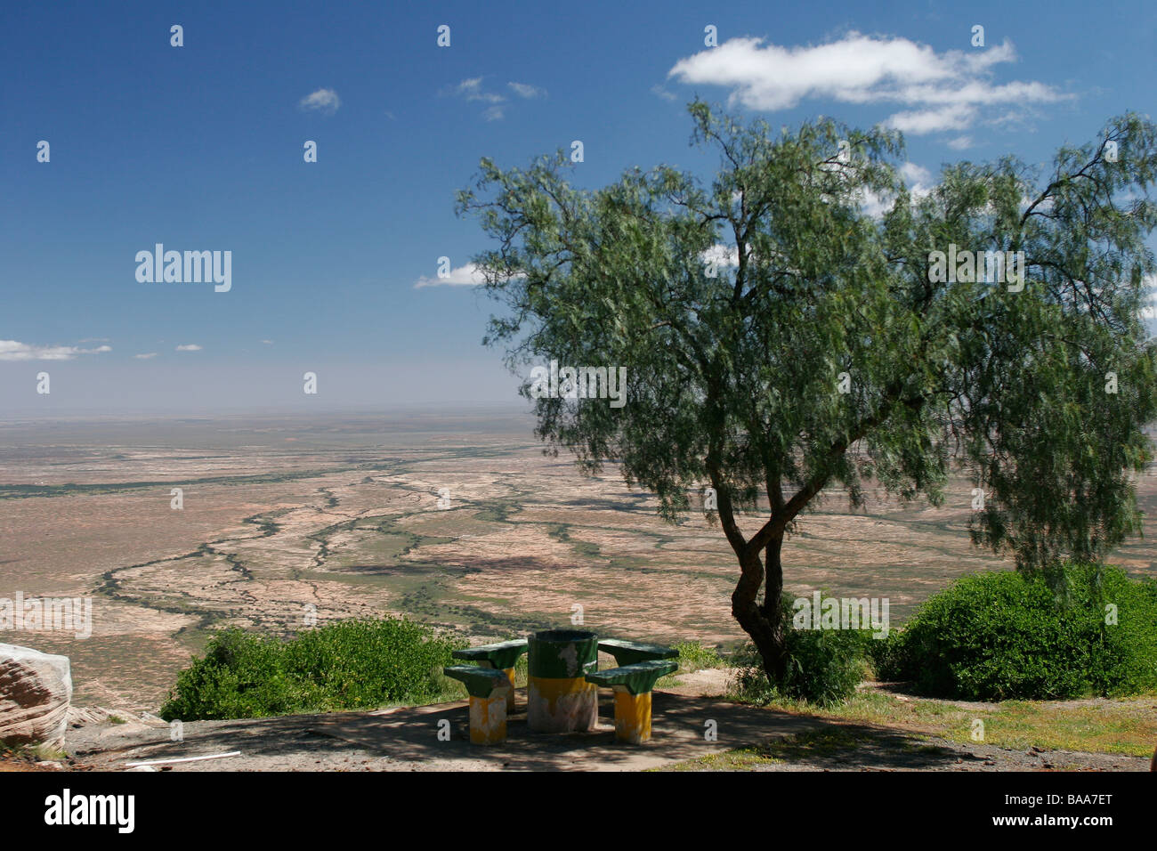 Un albero cresce a un picnic e il belvedere sul Van Rhyn's Pass vicino Nieuwoudtville in Sud Africa Foto Stock